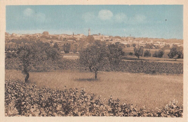 Carte postale ancienne Jonquieres Saint Vincent Vue Generale