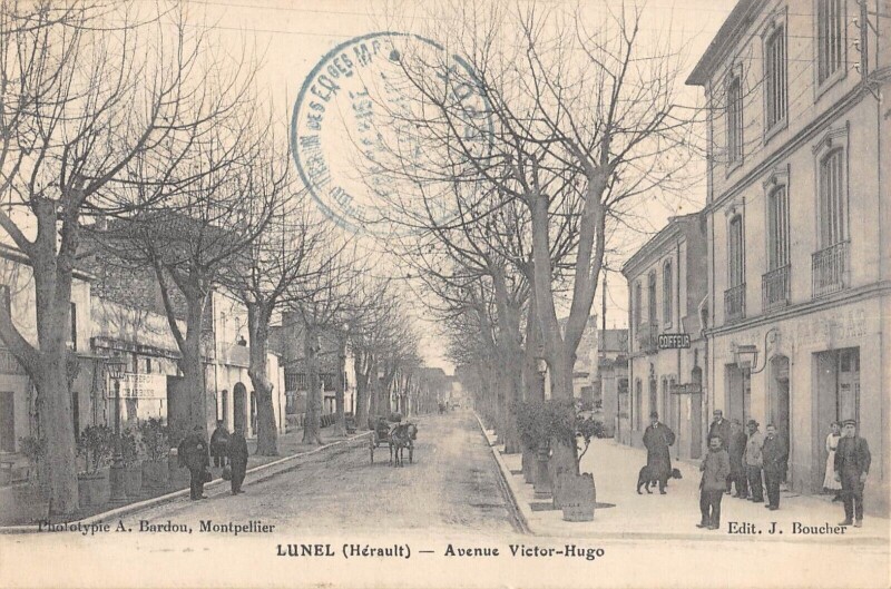 Carte postale ancienne Lunel Avenue Victor Hugo à Lunel
