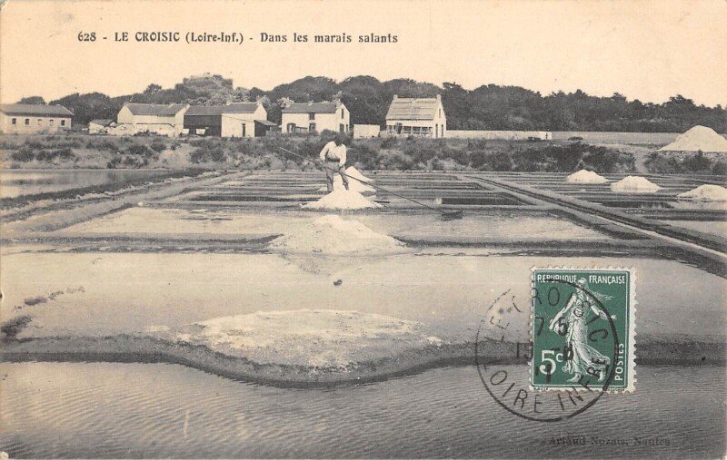 Carte postale ancienne Le Croisic Dans Les Marais Salants au Croisic