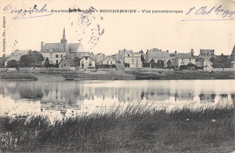Carte postale ancienne Bouchemaine Vue Panoramique à Bouchemaine