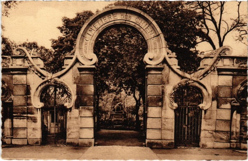 Carte postale ancienne Asnieres Cimetiere des Chiens