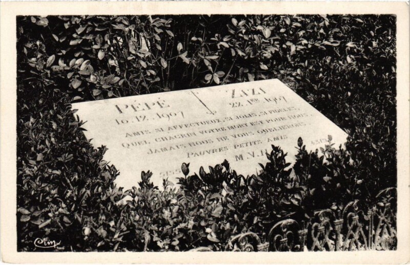 Carte postale ancienne Asnieres Cimetiere des Chiens