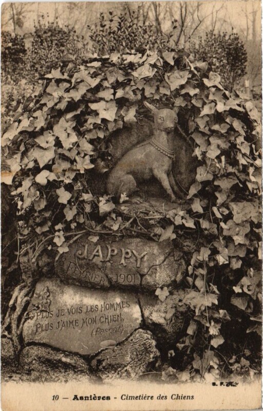 Carte postale ancienne Asnieres Cimetiere des Chiens