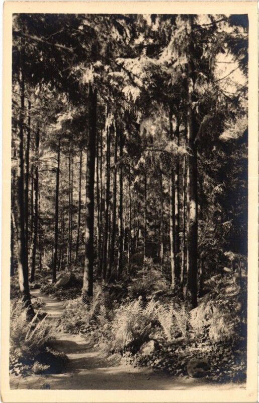 Carte postale ancienne Bois de Boulogne Jardins