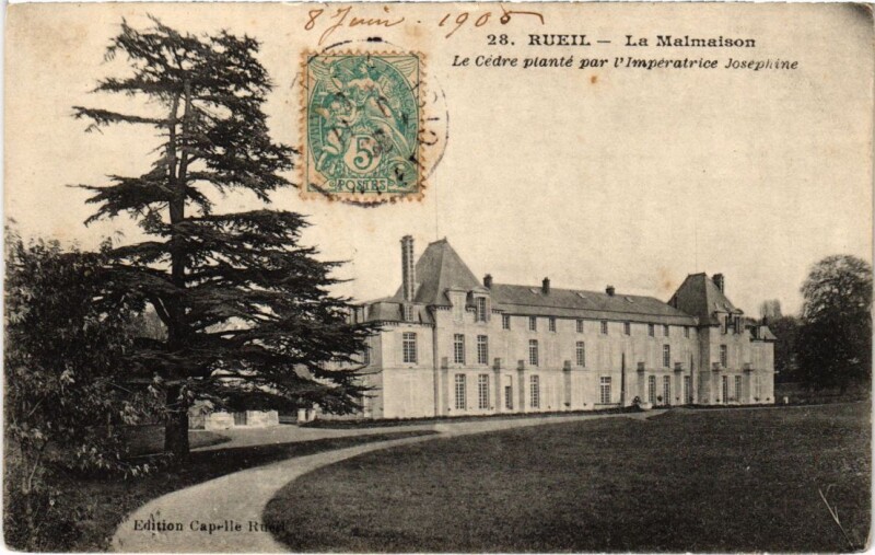 Carte postale ancienne Malmaison La Cedre plante