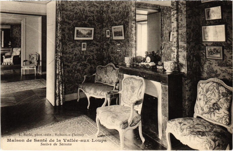 Carte postale ancienne Maison de Sante de la Vallee aux Loups