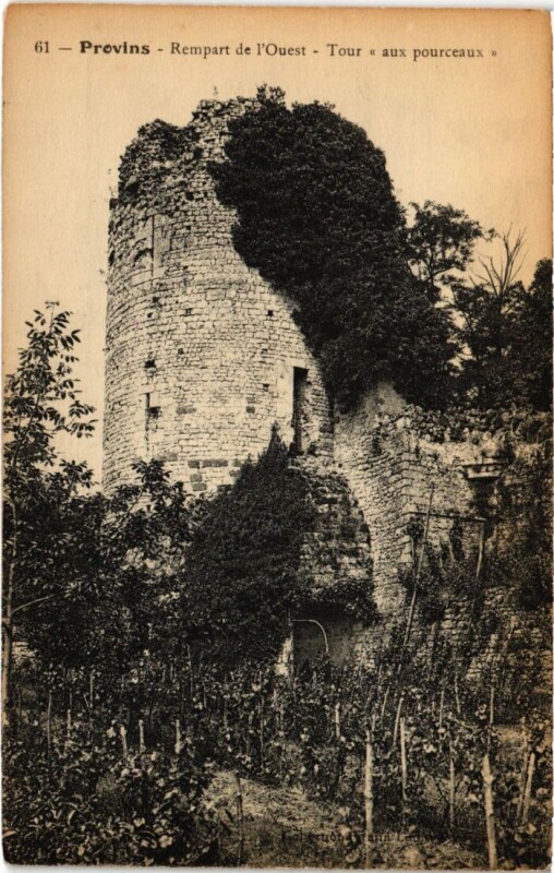 Carte postale ancienne Provins Remaprt de l'Ouest, Tour aux pourceaux France à Provins