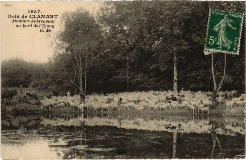 Carte postale ancienne Clamart Moutons à Clamart