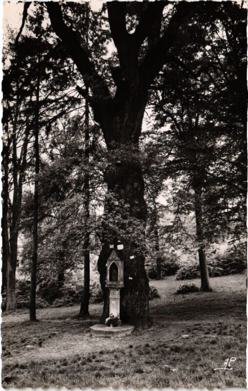 Carte postale ancienne Chaville Le Chene de la Vierge à Chaville