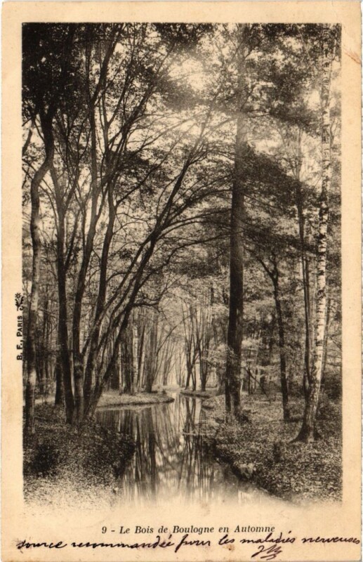 Carte postale ancienne Bois de Boulogne en automne
