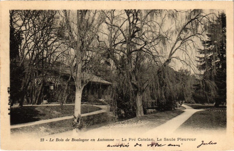 Carte postale ancienne Le Bois de Boulogne en Automne - Le Pré Catelan - Le Saule Pleureur à Paris 16e