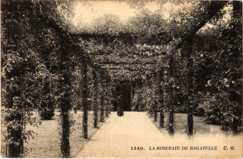 Carte postale ancienne Bois de Boulogne La Roseraire de Bagatelle
