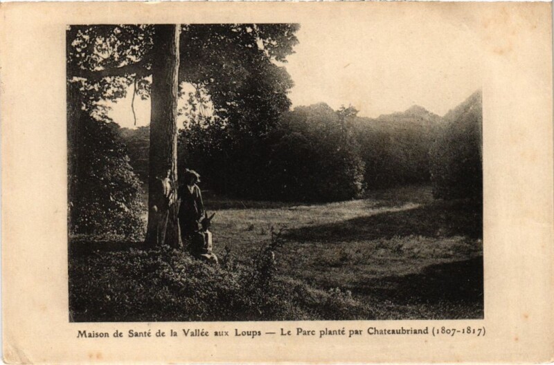 Carte postale ancienne Maison de Sante de la Vallee aux Loups