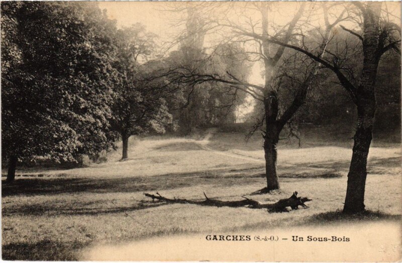Carte postale ancienne Garches Un Sous Bois à Garches