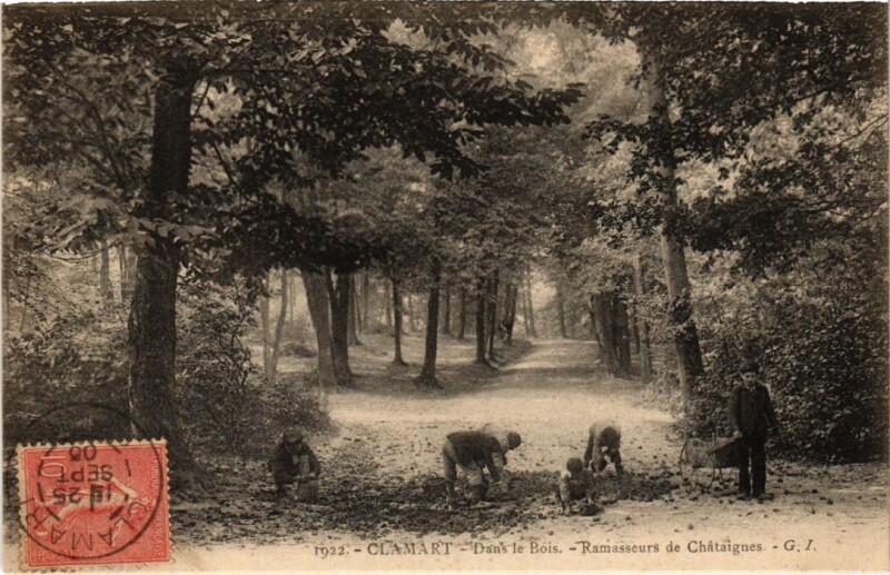 Carte postale ancienne Clamart Dans le Bois Ramasseurs de Chataignes à Clamart