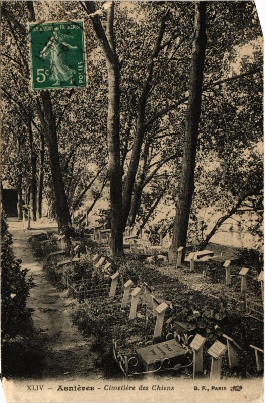 Carte postale ancienne Asnieres Cimetiere des Chiens
