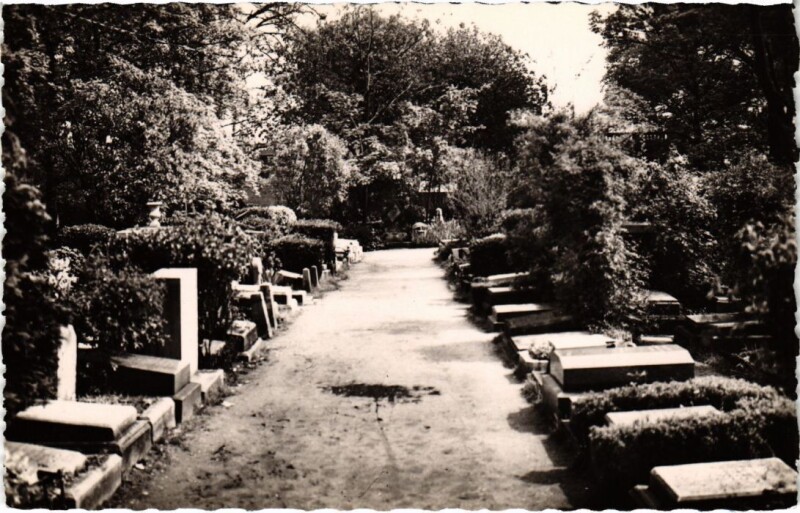 Carte postale ancienne Asnieres Cimetiere des Chiens
