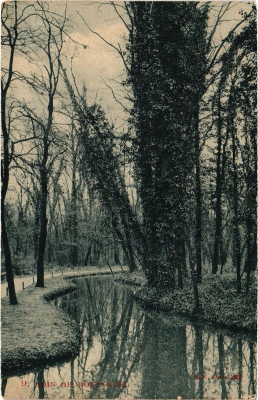 Carte postale ancienne Bois de Boulogne