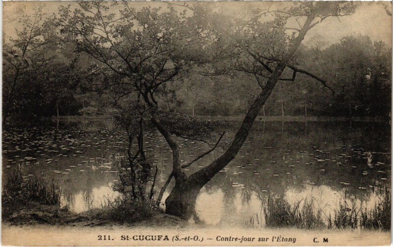 Carte postale ancienne St Cucufa Contre jour sur l'Etang