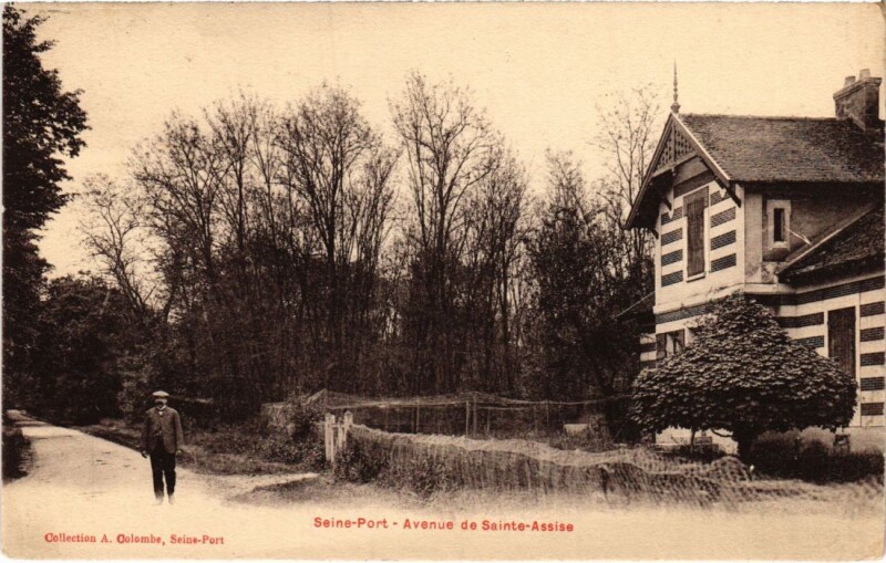 Carte postale ancienne Seine-Port Avenue de Sainte-Assise France à Seine-Port