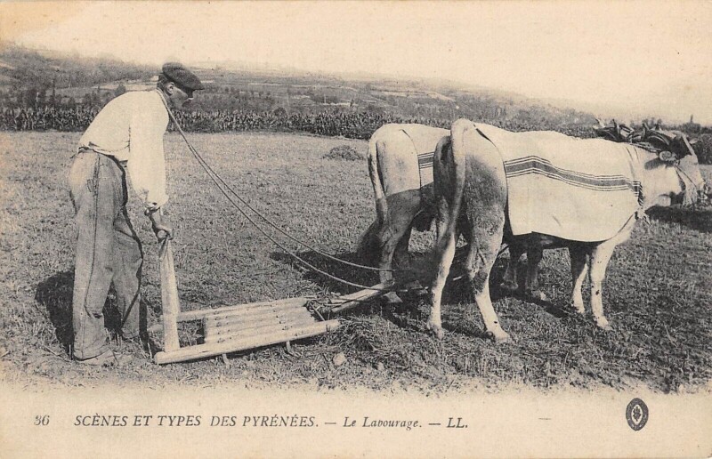 Carte postale ancienne Scenes Et Types Des Pyrenees Le Labourage