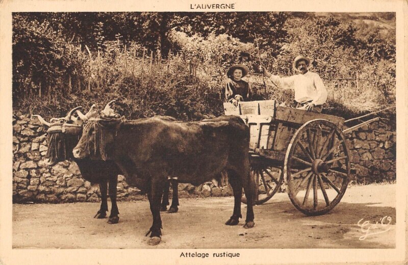 Carte postale ancienne L'Auvergne Attelage Rustique