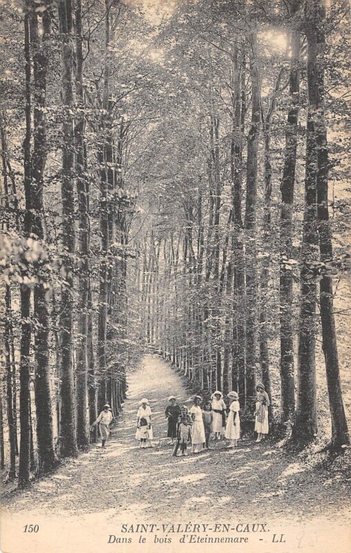 Carte postale ancienne Saint Valery En Caux Dans Le Bois D'Eteinnemare à Saint-Valery-en-Caux