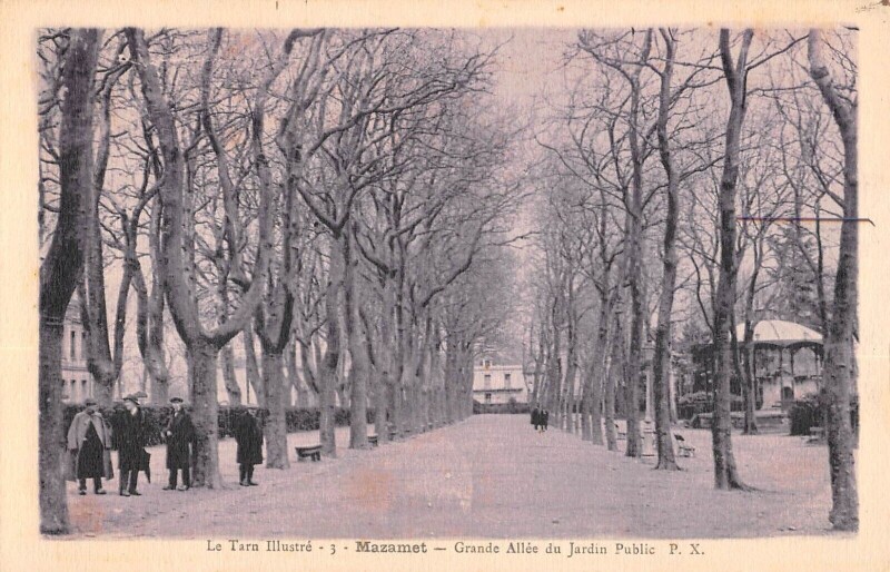 Carte postale ancienne Mazamet Grande Allee Du Jardin Public à Mazamet