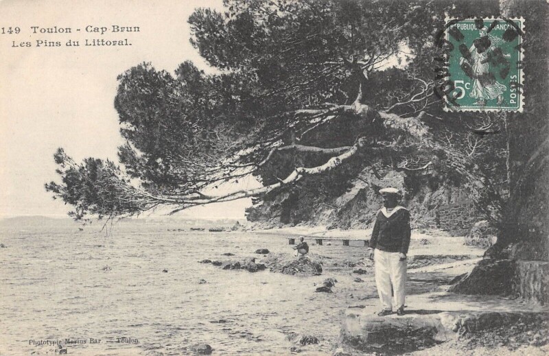 Carte postale ancienne Toulon Cap Brun Les Pins Du Littoral à Toulon