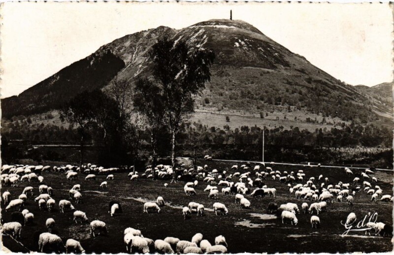 Carte postale ancienne Auvergne Paturages au pied du Puy de Dome France