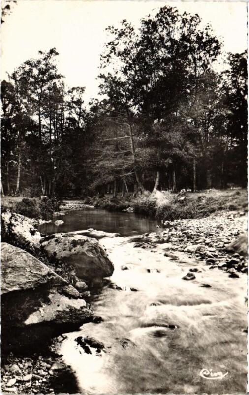 Carte postale ancienne Mont-Dore Vallee de la Dore France à Mont-Dore