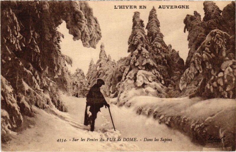 Carte postale ancienne Puy de Dome Sur les Pentes, Dans les Sapins France