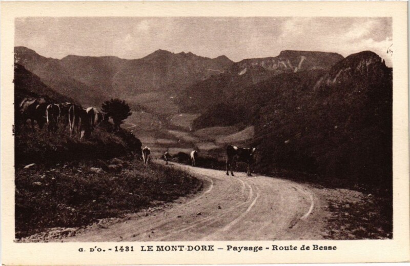 Carte postale ancienne Mont-Dore Paysage, Route de Besse France à Mont-Dore