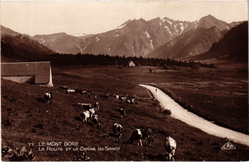 Carte postale ancienne Mont-Dore La Route et la Chaine du Sancy France à Mont-Dore
