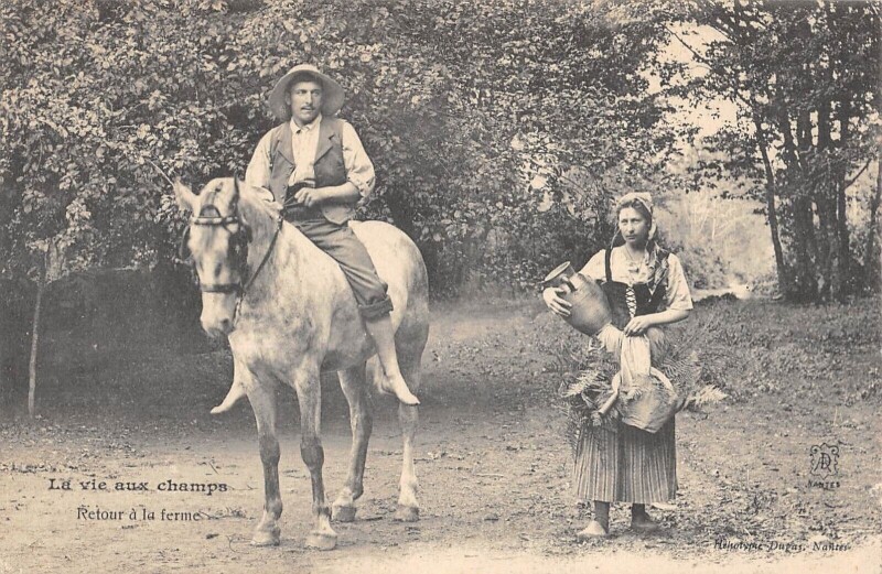 Carte postale ancienne Agriculture La Vie Aux Champs Retour A La Ferme