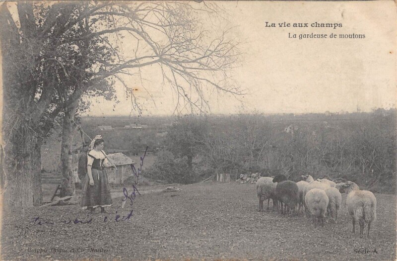 Carte postale ancienne Agriculture La Vie Aux Champs La Gardeuse De Moutons