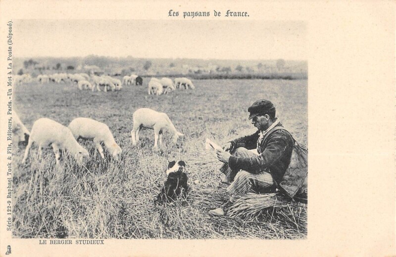 Carte postale ancienne Agriculture Les Paysans De France Berger Studieux
