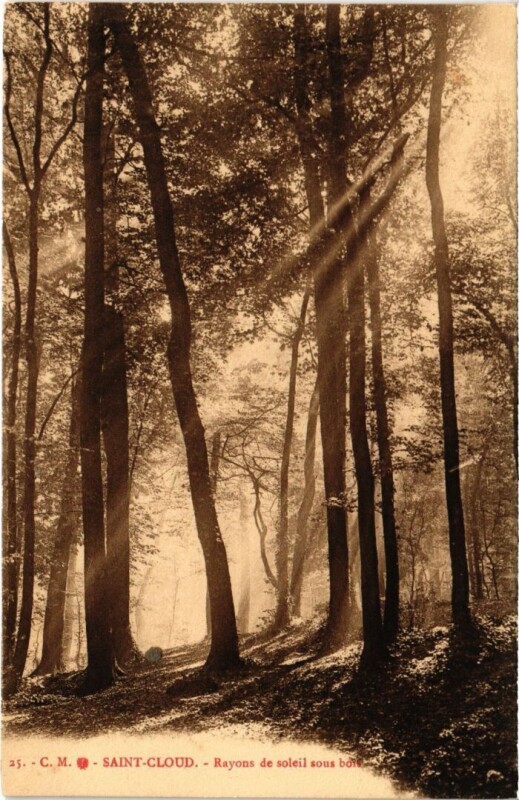 Carte postale ancienne Saint Cloud Rayons de soleil sous bois à Saint-Cloud