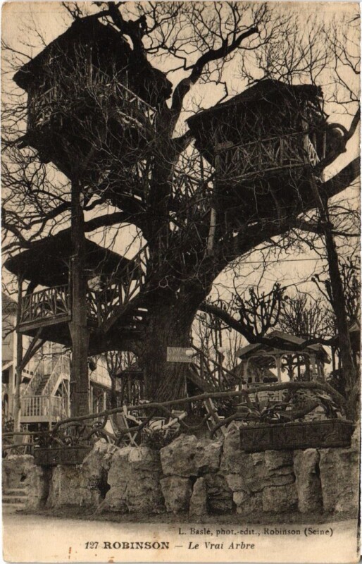 Carte postale ancienne Robinson Le Vrai Arbre