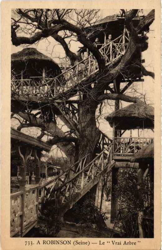 Carte postale ancienne Robinson Le Vrai Arbre