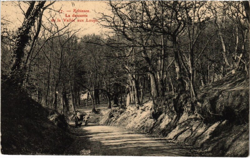 Carte postale ancienne Robinson La descente de la Vallee aux Loups