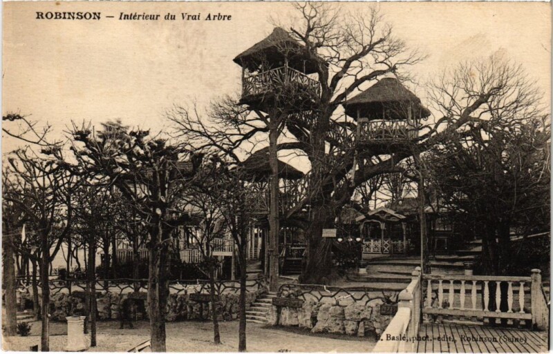 Carte postale ancienne Robinson Interieur du Vrai Arbre