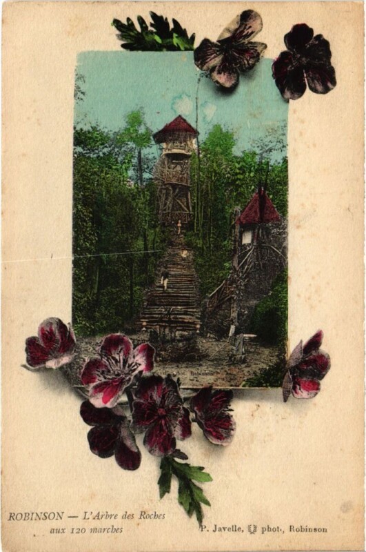 Carte postale ancienne Robinson Arbre des Roches