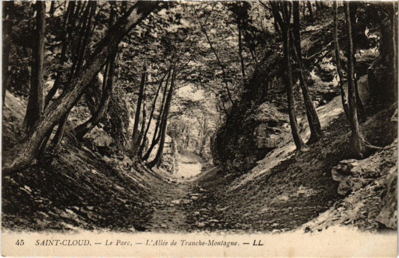 Carte postale ancienne Saint Cloud Le Parc Allee de Tranche Montagne à Saint-Cloud
