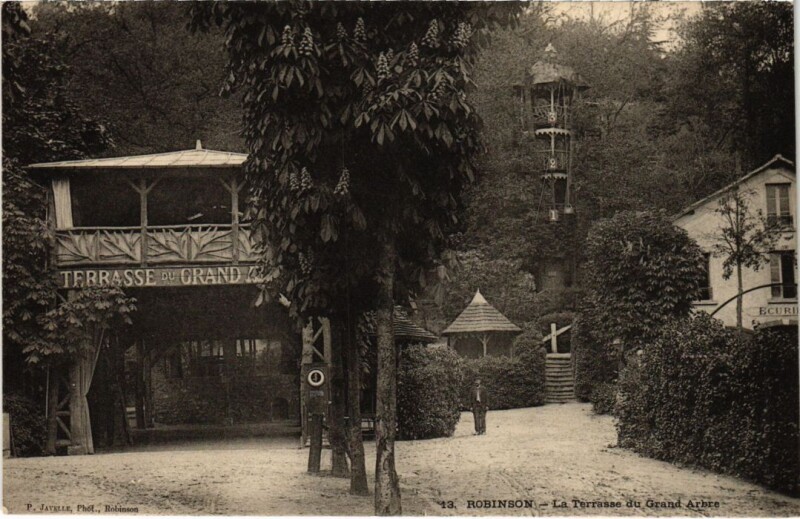 Carte postale ancienne Robinson La Terrasse du Grand Arbre