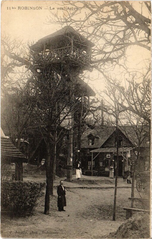 Carte postale ancienne Robinson Le Vrai Arbre