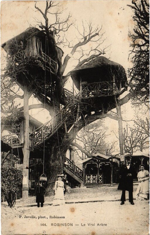 Carte postale ancienne Robinson Le Vrai Arbre