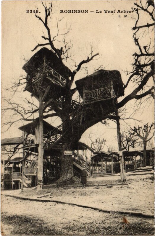 Carte postale ancienne Robinson Le Vrai Arbre