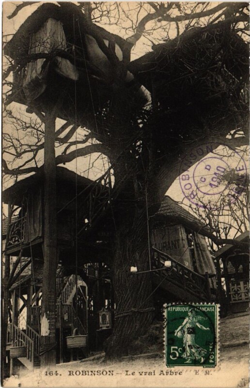Carte postale ancienne Robinson Le Vrai Arbre
