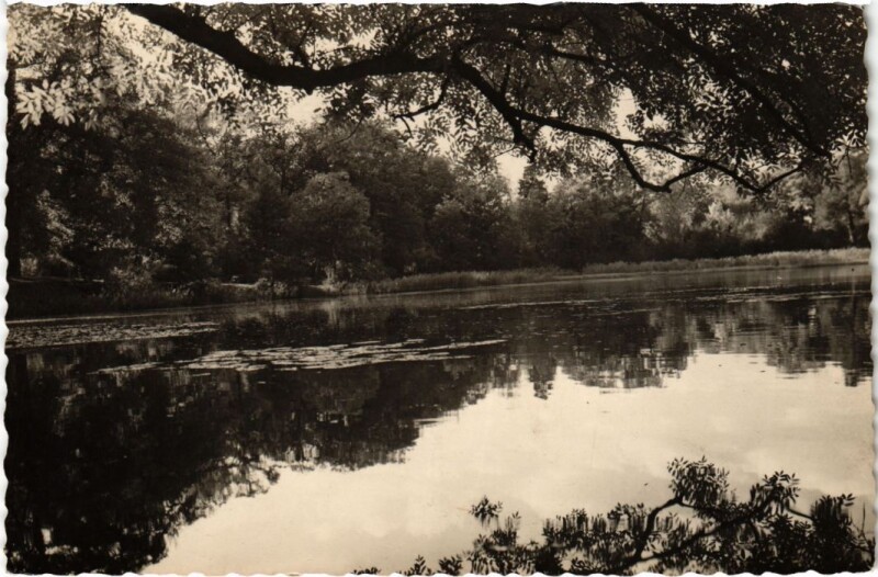 Carte postale ancienne Etang de Ville d'Avray à Ville-d'Avray